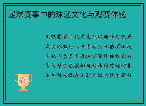 足球赛事中的球迷文化与观赛体验